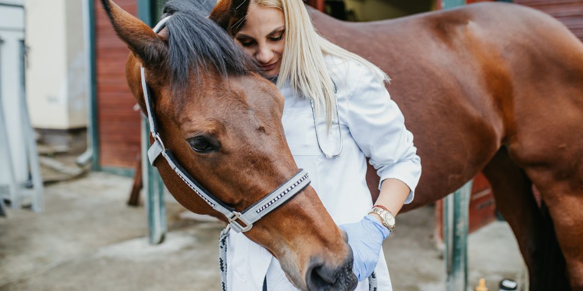 Frau im weißen Kittel umarmt ein Pferd