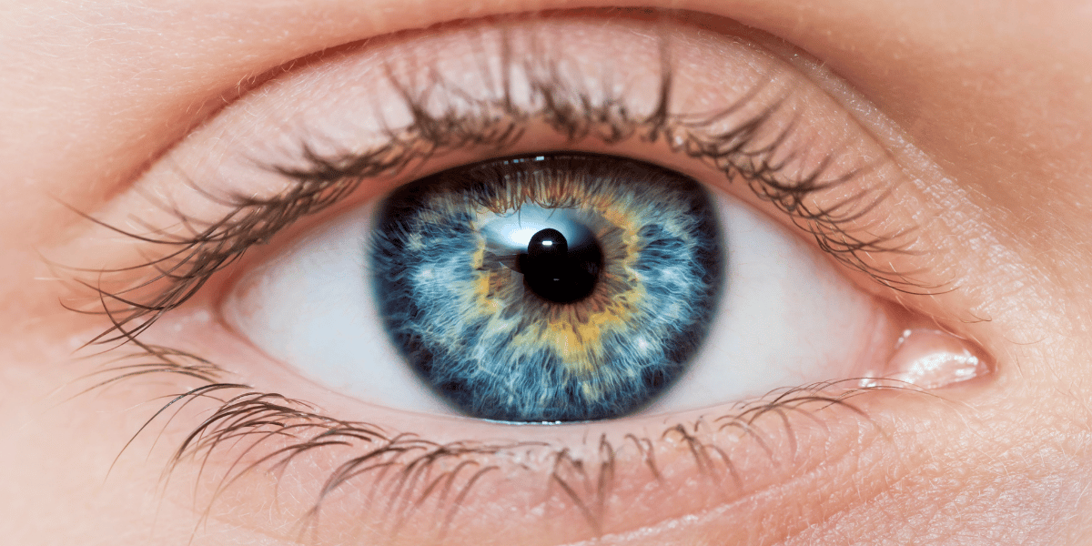 Auge in Nahaufnahme